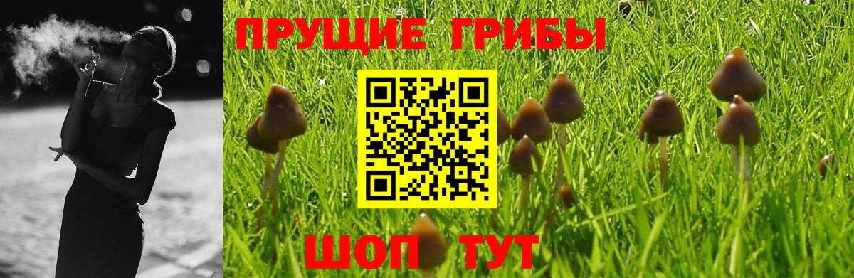 Уварово  Псилоцибиновые грибы мицелий  Вход с VPN 